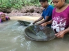 panning for gold, Arandak, Nicaragua (Mayangna)