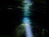 shark-3-topaz-denoise-sharpen