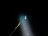 squid-1-topaz-denoise-sharpen