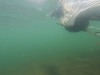 dive-gopro.00_01_11_09.Still007