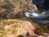 dive-gopro.00_10_44_21.Still058